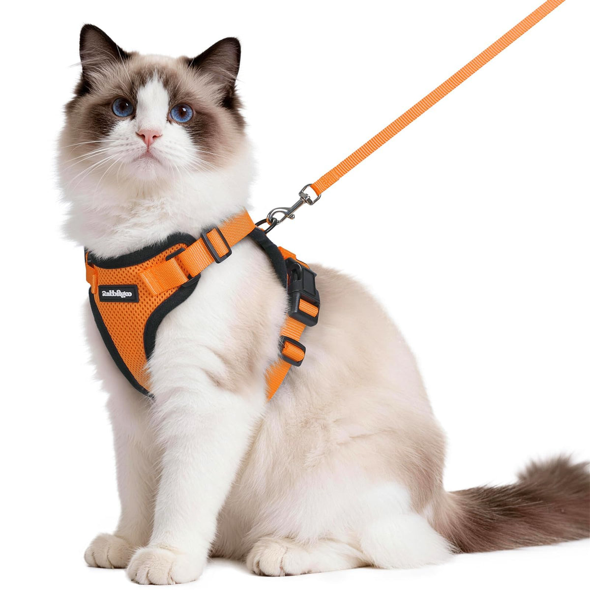 rabbitgoo Cat Harness and Leash Set, Escape Proof Vest, Black | Soft Breathable Mesh, Easy Adjustable Fit, Snap Buckles, Sturdy Clip, Reflective Strips, for Medium to Large Cats Walks, M