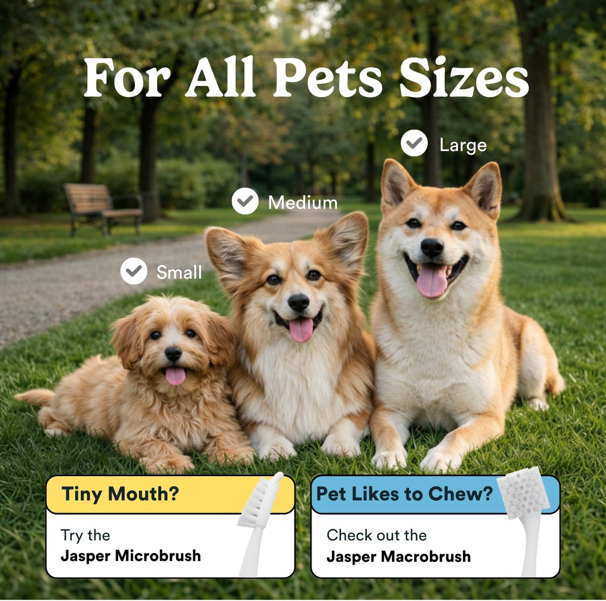 Jasper Dog Toothbrush, 360 Dog Tooth Brushing Kit, Finger Toothbrush, Cat Tooth Brush, Teeth Cleaning, Pet Tooth Brush for Small & Large Pets, Pet Toothpaste Not Included, 2-Pack Blue