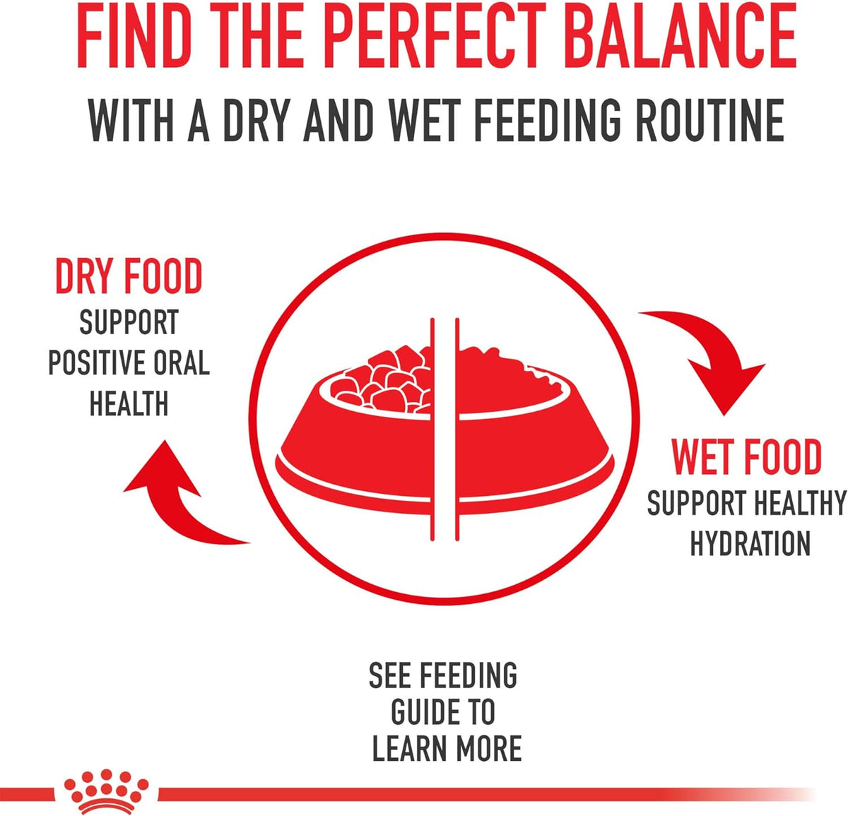 ROYAL CANIN Feline Health Nutrition Adult Instinctive Adult Loaf in Sauce Cat Food, 3 oz (Pack of 24)