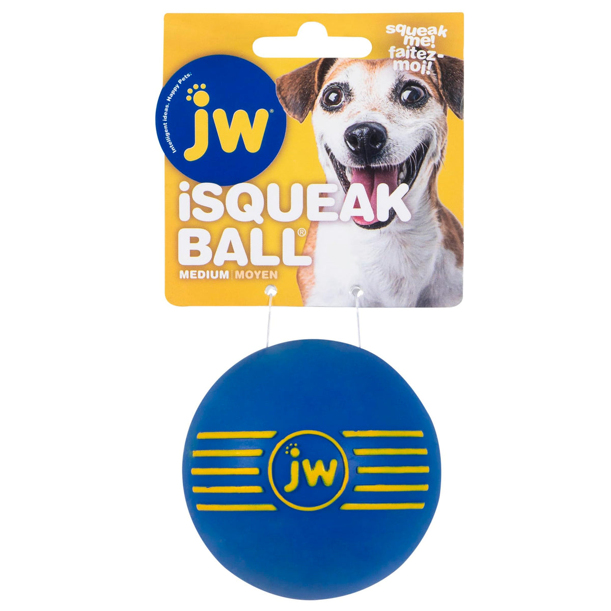 JW Pet Dog iSqueak Ball Dog Toy, Large, (Assorted Colors)