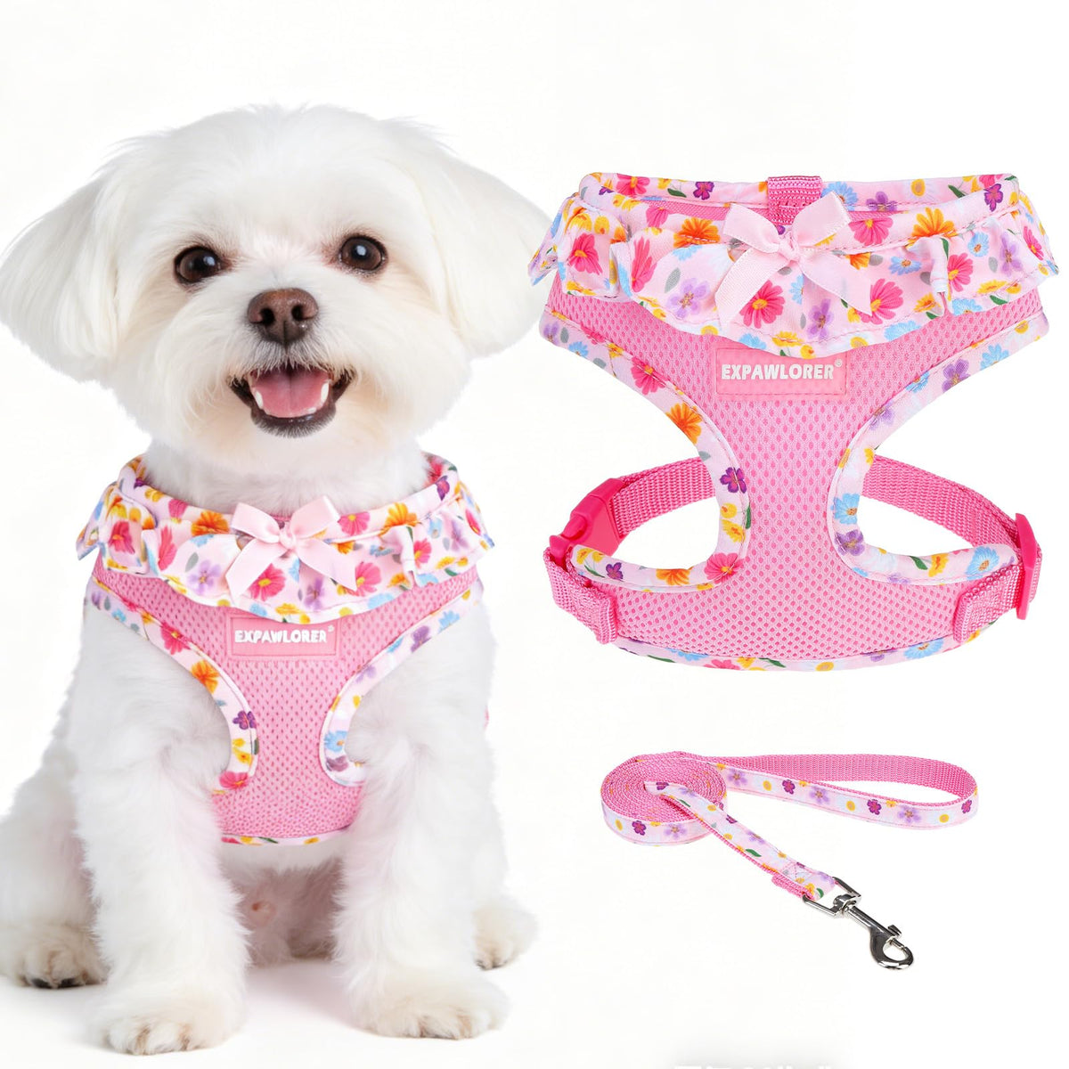 EXPAWLORER Step-in Dog Harness Small Sized Collar and Leash Set