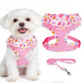 EXPAWLORER Step-in Dog Harness Small Sized Collar and Leash Set