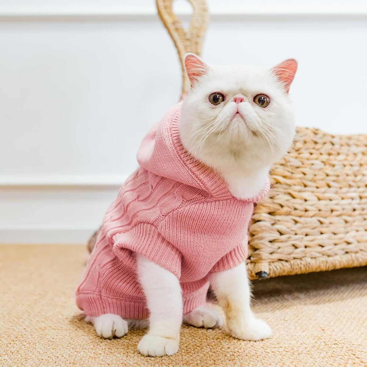 PUPTECK Winter Dog Cat Sweater Coat - Soft Cold Weather Clothes Knitwear for Kitties & Small Dogs Indoor Outdoor Walking Warm, Knitted Classic for Doggies Kitties Girls Boys, Pink M