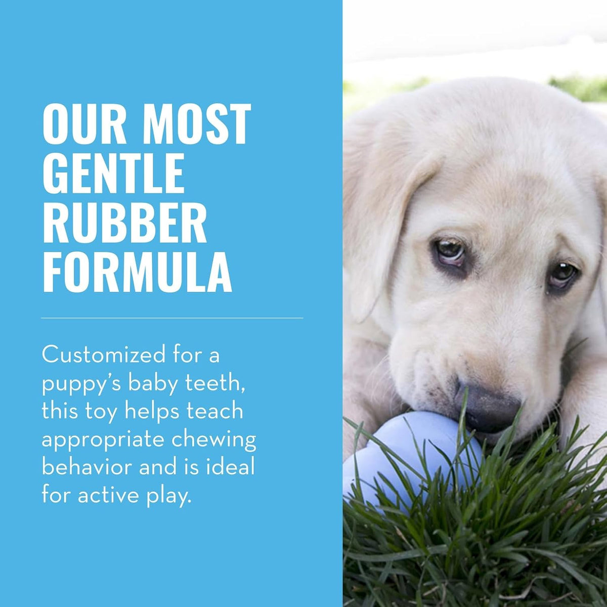 KONG Puppy - Natural Teething Rubber Chew Toy for Dogs - Stuffable Dog Toy for Extended Playtime - Chew & Fetch Toy for Puppies - for Small Puppies - Blue
