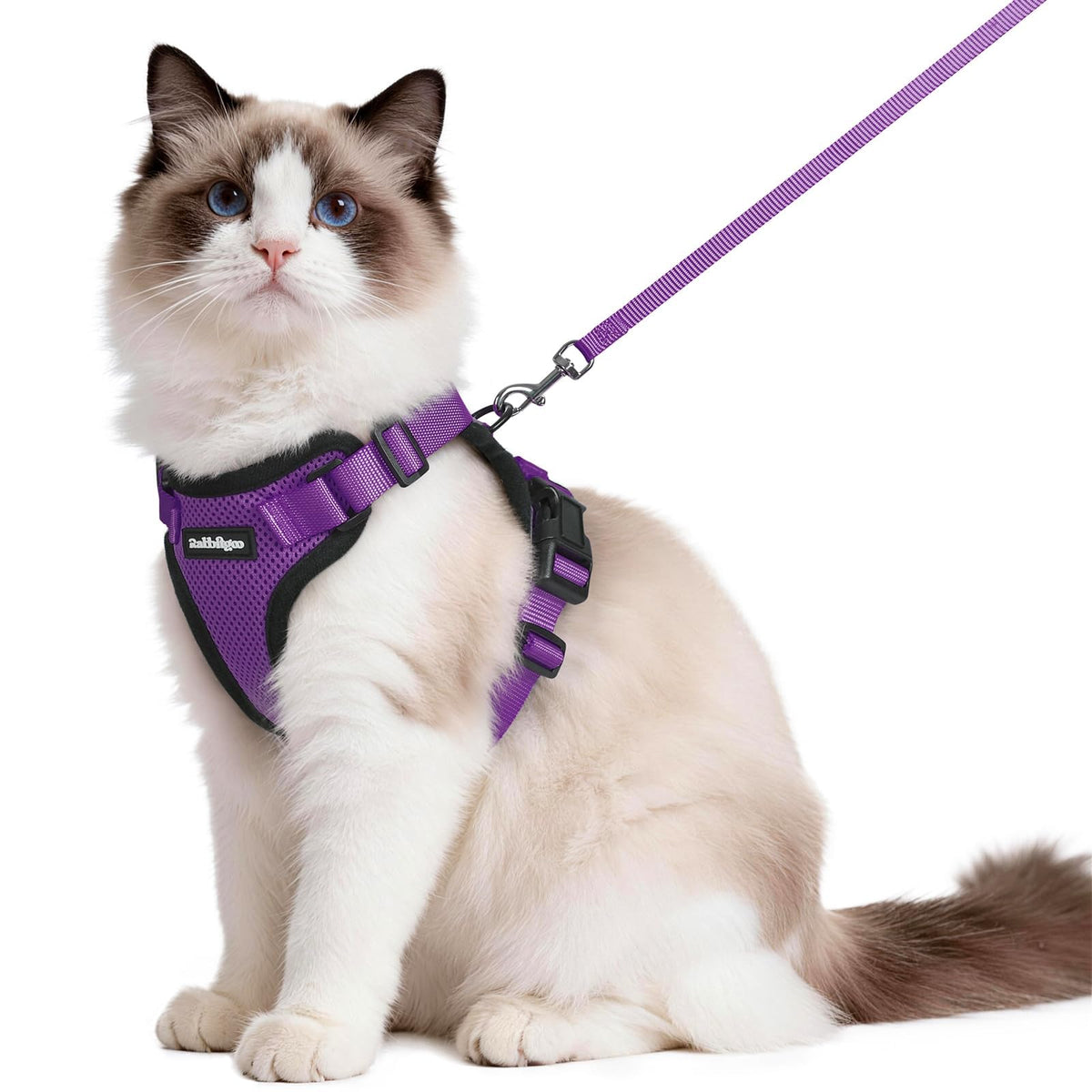 rabbitgoo Cat Harness and Leash Set, Escape Proof Vest, Black | Soft Breathable Mesh, Easy Adjustable Fit, Snap Buckles, Sturdy Clip, Reflective Strips, for Small & Average Cats Walks, Xs