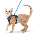 rabbitgoo Cat Harness and Leash Set, Escape Proof Vest, Black | Soft Breathable Mesh, Easy Adjustable Fit, Snap Buckles, Sturdy Clip, Reflective Strips, for Medium to Large Cats Walks, M
