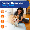 American Kennel Club Scented Puppy Training Pads with Ultra Absorbent Quick Dry Gel – 28 x 30 Pee Pads for Dogs - Fresh Scented - 50 Count, XL