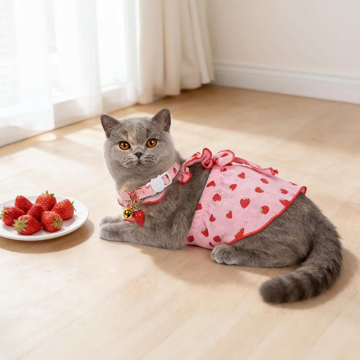 Cat Dress Dog Costumes Dresses + 2Pcs Adjustable Collars(7.5"-12.5"), XS