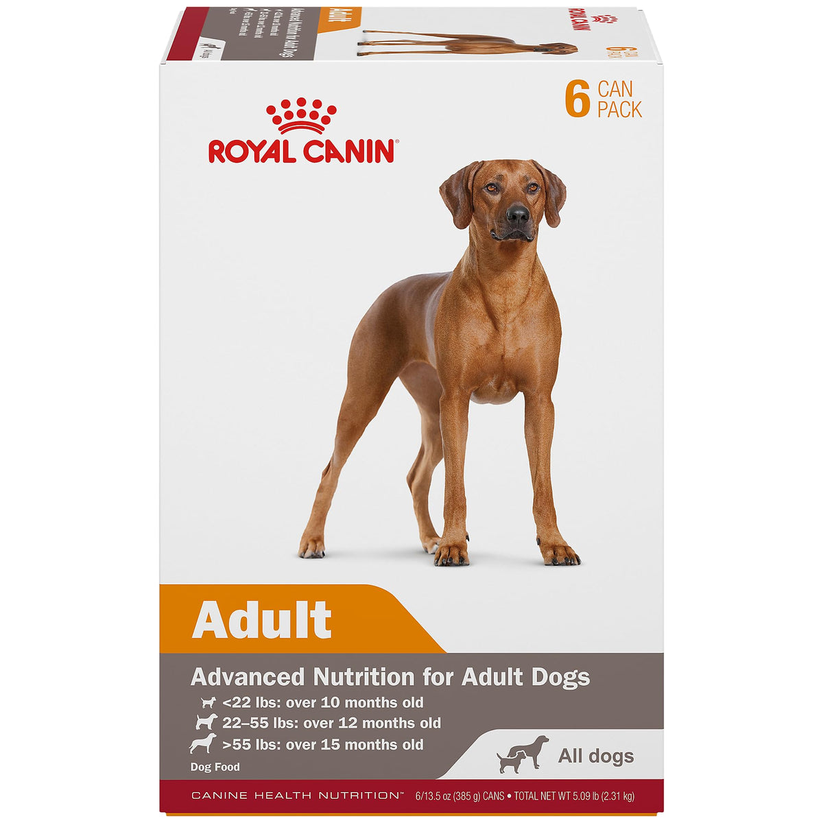 ROYAL CANIN Canine Health Nutrition Adult in Gel Dog Food, 13.5 oz (Pack of 12)