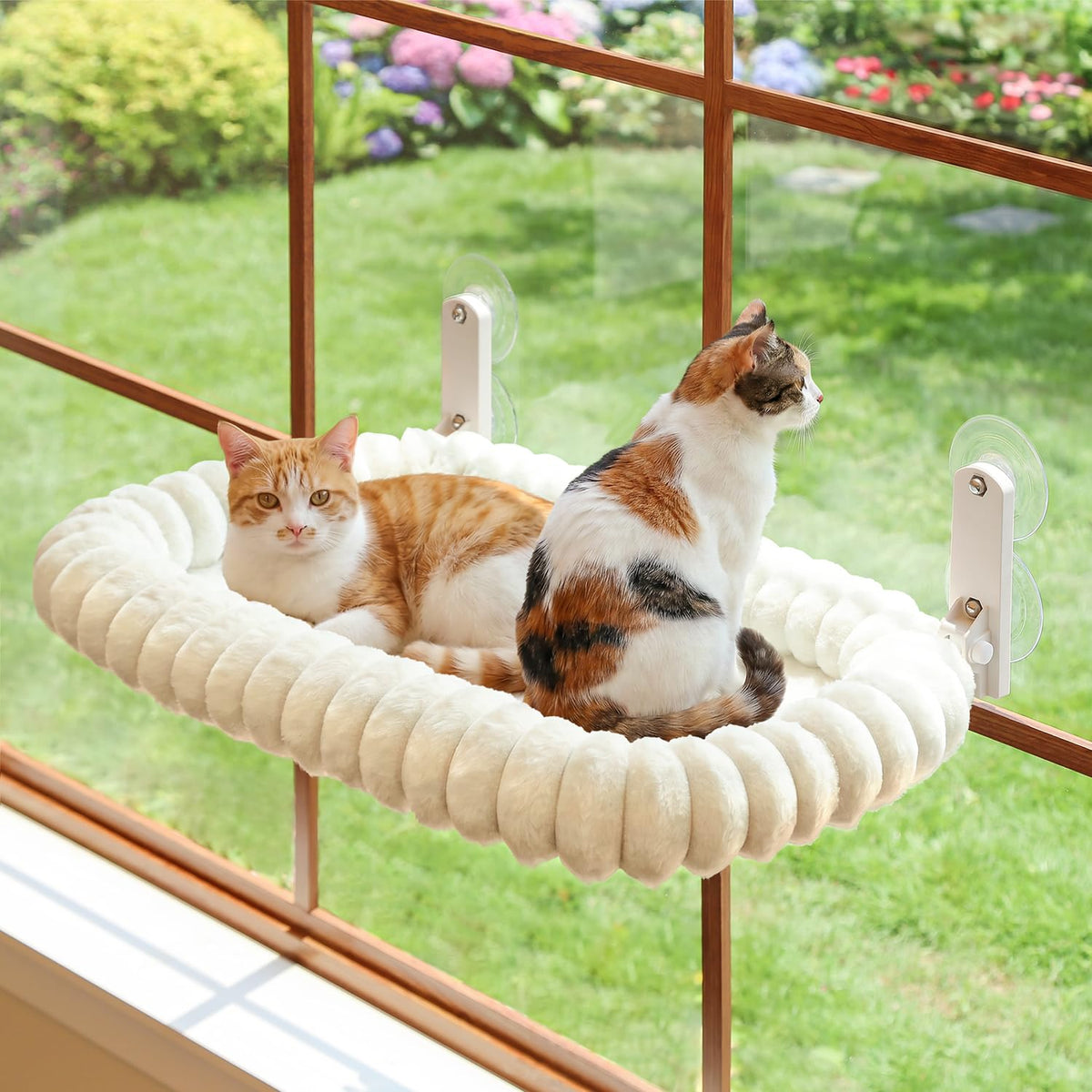 Zakkart SnugCloud Foldable Cat Window Perch - Cordless, Ultra Soft Machine Washable Bed with 4-Sided Bolster, Metal Frame - Window Hammock for Large Cats and Kittens (Cream White, Medium)