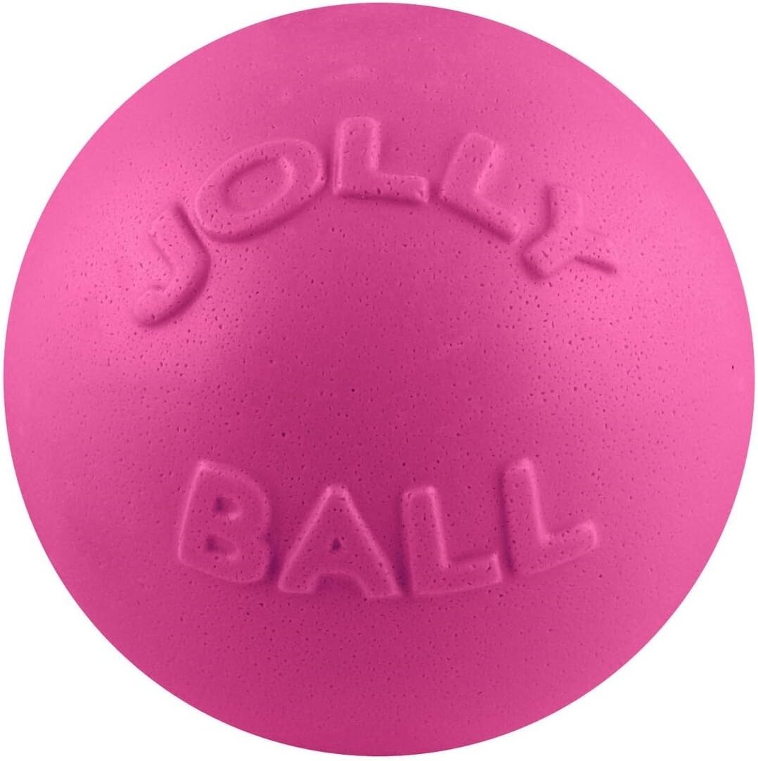 Jolly Pets Bounce-n-Play Dog Toy Ball, 8 Inches/Large, Blueberry, (Model: 2508 BB)