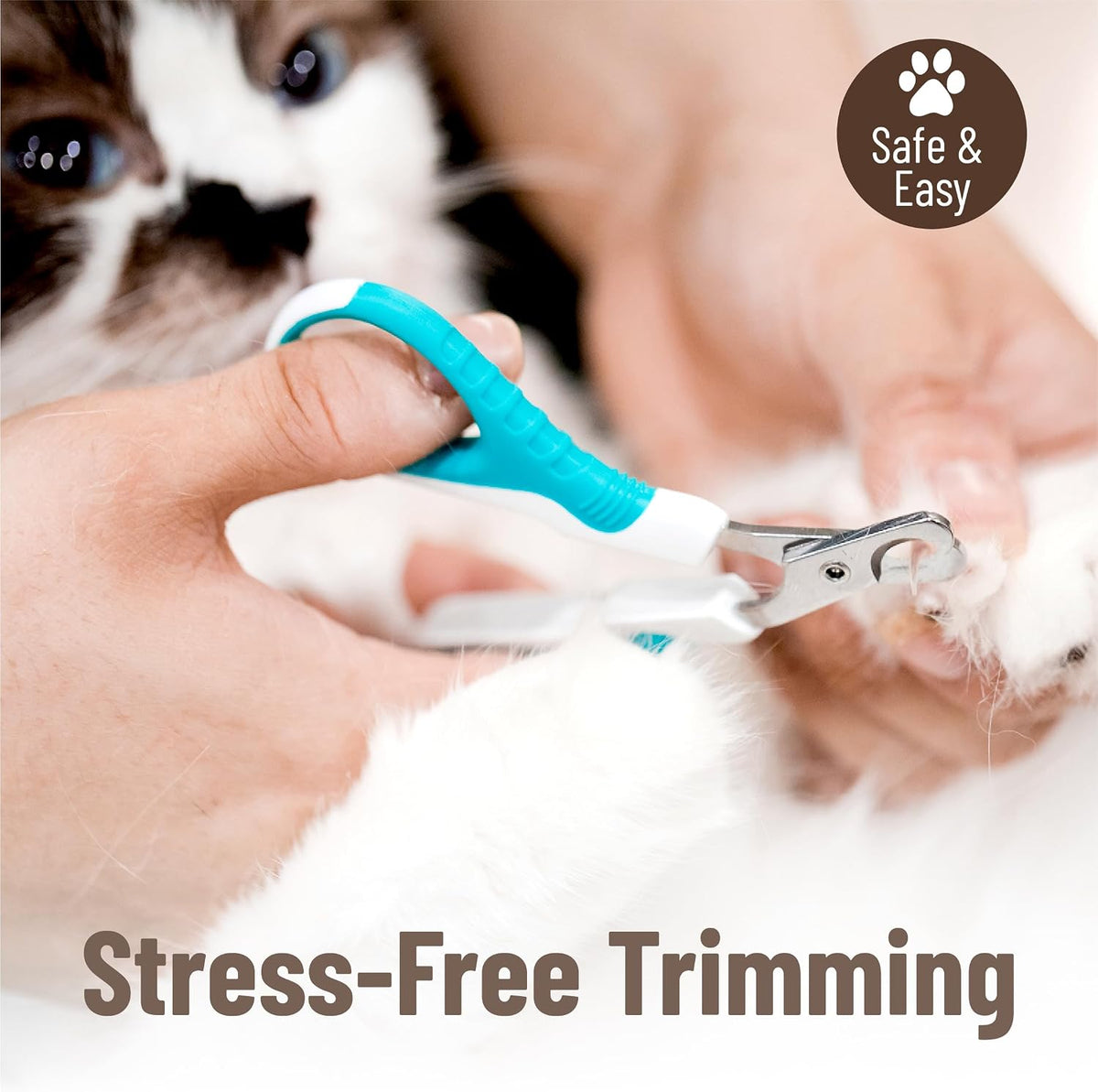 Mr. Pen- Cat Nail Clipper, Stainless Steel, Sharp Cat Claw Trimmer | Cat Claw Trimmer for Small and Medium Cats, Pet Nail Clipper with Sturdy Non Slip Handle