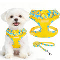 EXPAWLORER Step-in Dog Harness Small Sized Collar and Leash Set