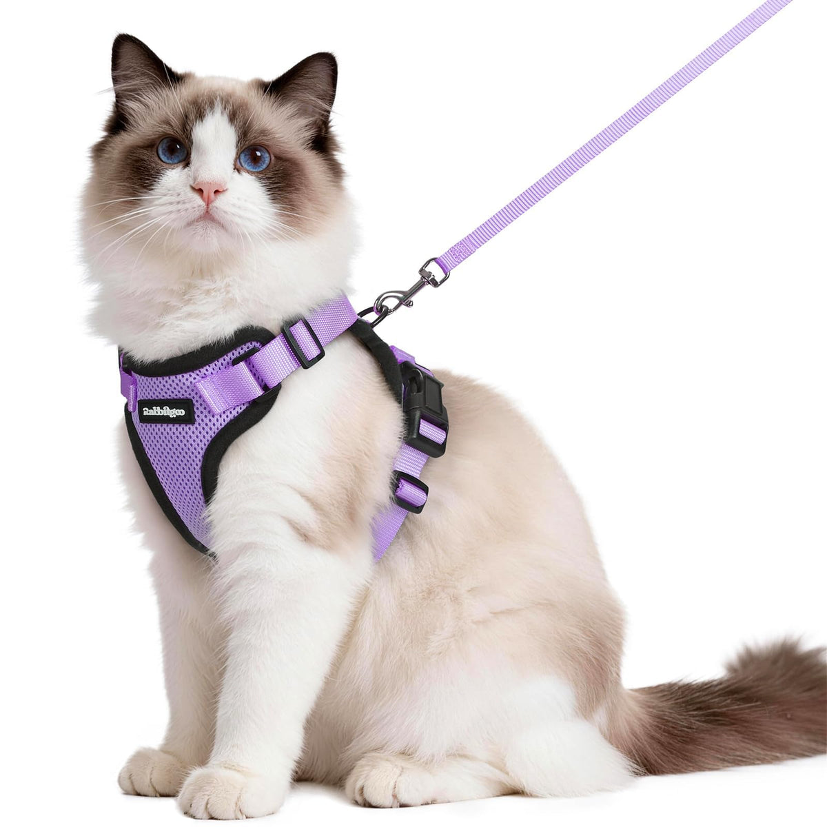 rabbitgoo Cat Harness and Leash Set, Escape Proof Vest, Black | Soft Breathable Mesh, Easy Adjustable Fit, Snap Buckles, Sturdy Clip, Reflective Strips, for Small & Average Cats Walks, Xs