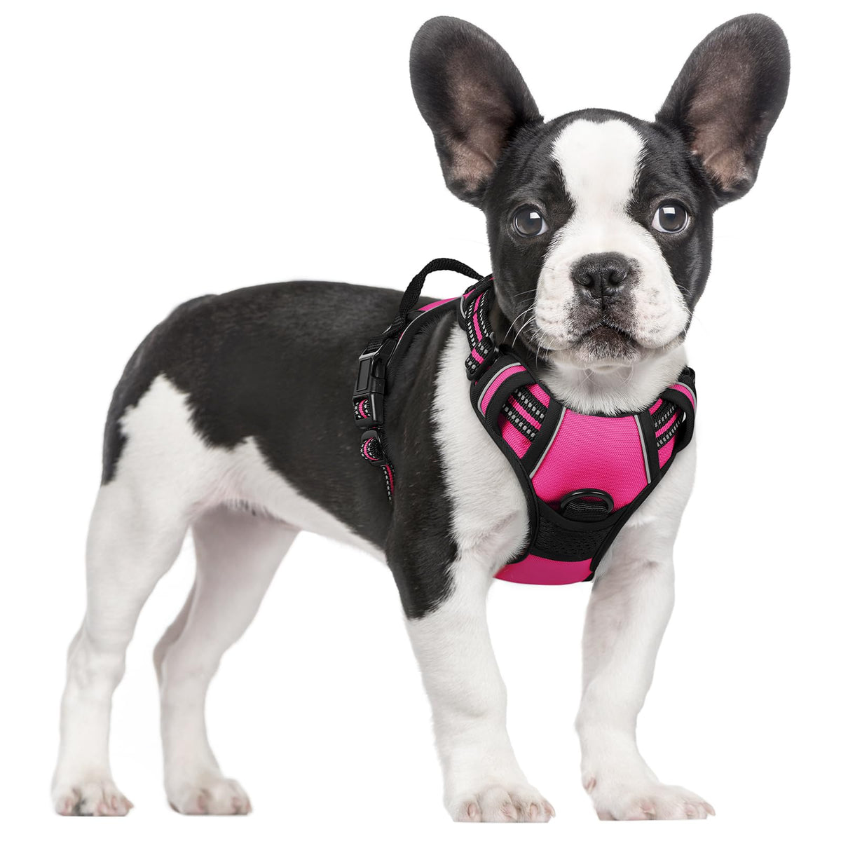 rabbitgoo Dog Harness No Pull with 2 Leash Clips, Adjustable Soft Padded, Reflective Oxford No Choke Pet Vest with Easy Control Handle for Large Dogs, Black, L