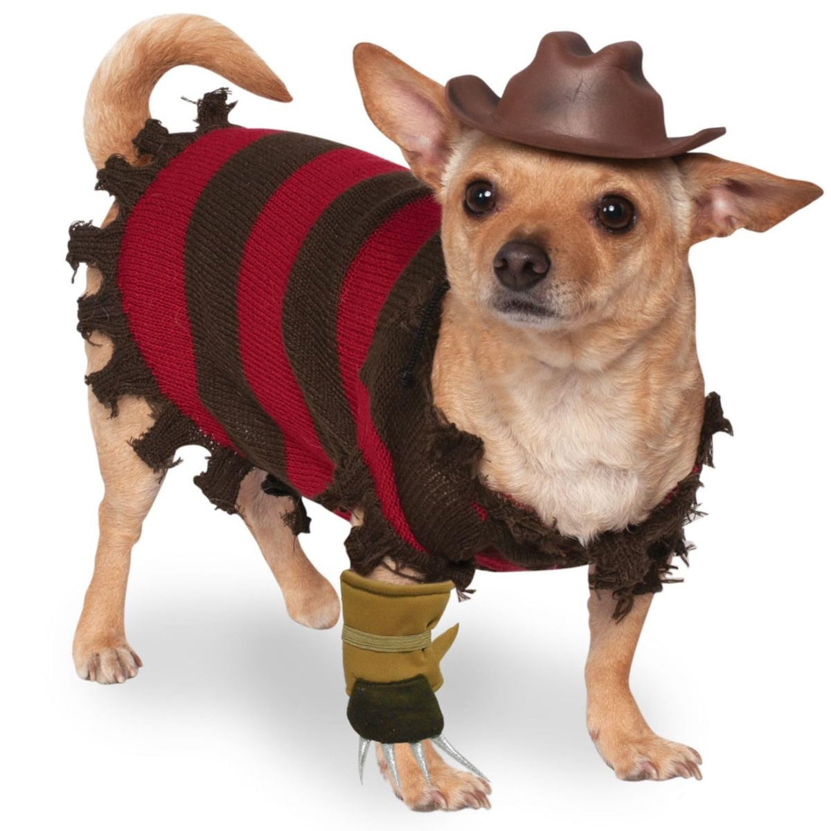 Rubies at Party City A Nightmare on Elm Street: Freddy Krueger Pet Costume for Dogs or Cats, Medium