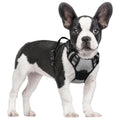 rabbitgoo Dog Harness No Pull with 2 Leash Clips, Adjustable Soft Padded, Reflective Oxford No Choke Pet Vest with Easy Control Handle for Medium Sized Dogs, Black, M