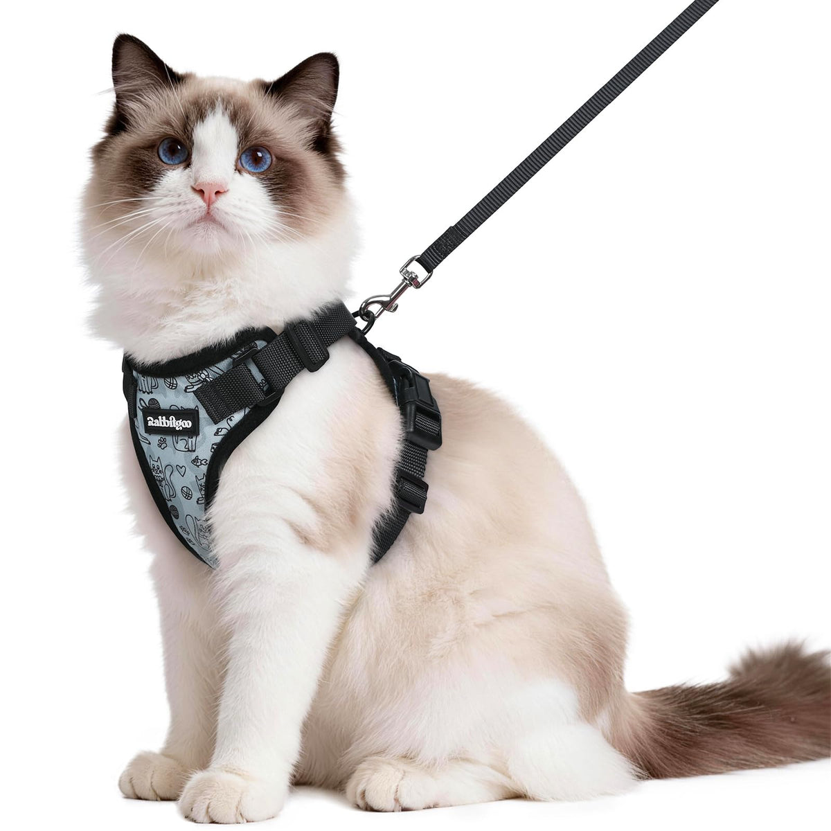 rabbitgoo Cat Harness and Leash Set, Escape Proof Vest, Black | Soft Breathable Mesh, Easy Adjustable Fit, Snap Buckles, Sturdy Clip, Reflective Strips, for Small & Average Cats Walks, Xs
