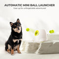 ALL FOR PAWS Automatic Dog Ball Launcher, Interactive Fetch Toy for Small to Medium Dogs, Pet Thrower Machine for Indoor & Outdoor Play, 3 Pcs 2-Inch Balls Included