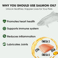 Iceland Pure Salmon Oil | Unscented Pharmaceutical Grade | 1118mg of Omega-3 per teaspoon | Liquid Food Supplement For Dogs and Cats | BPA-Free Brushed Aluminum Epoxy coated Bottle with Pump 8.75oz