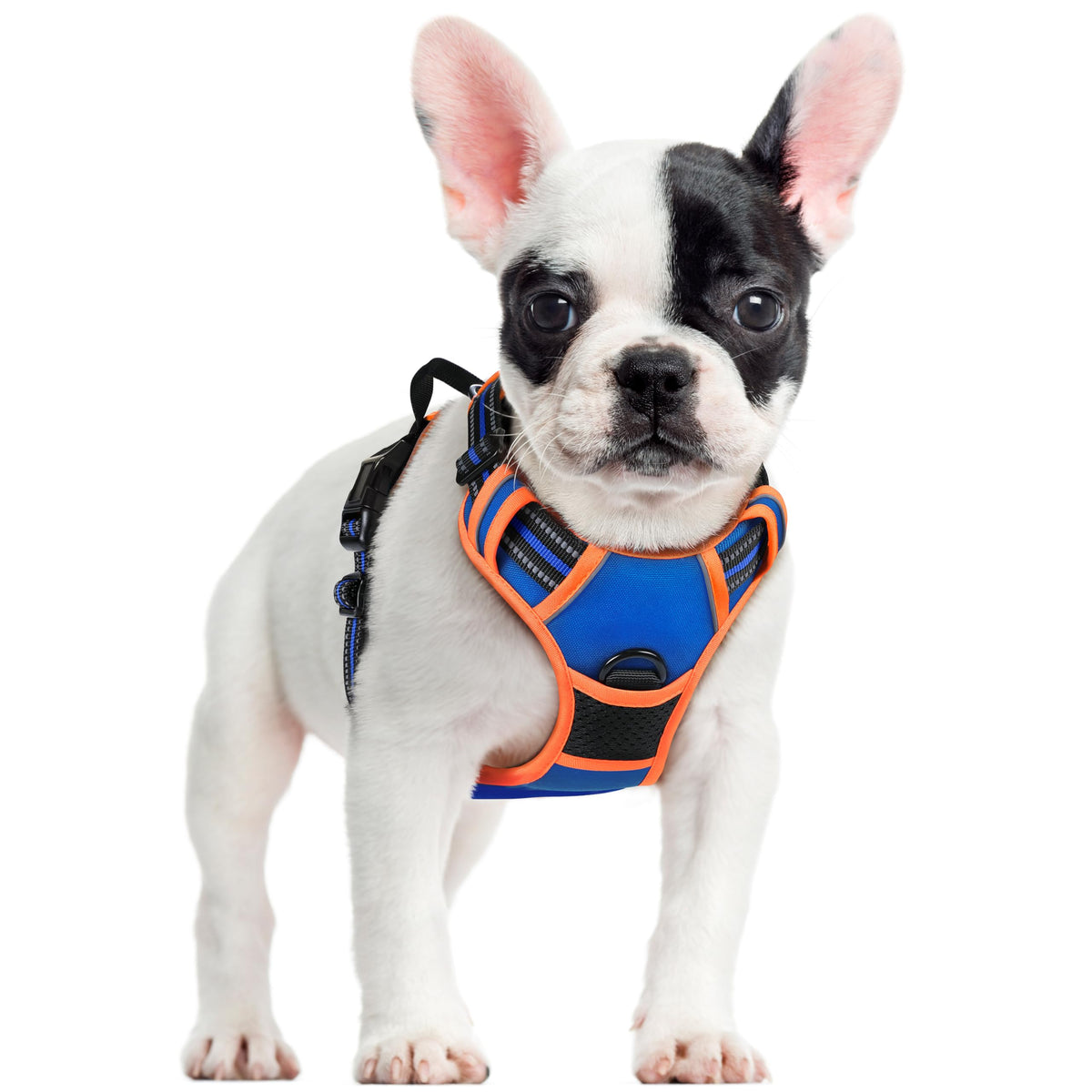 rabbitgoo Dog Harness No Pull with 2 Leash Clips, Adjustable Soft Padded, Reflective Oxford No Choke Pet Vest with Easy Control Handle for Medium Sized Dogs, Black, M