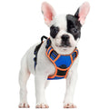 rabbitgoo Dog Harness No Pull with 2 Leash Clips, Adjustable Soft Padded, Reflective Oxford No Choke Pet Vest with Easy Control Handle for Large Dogs, Black, L