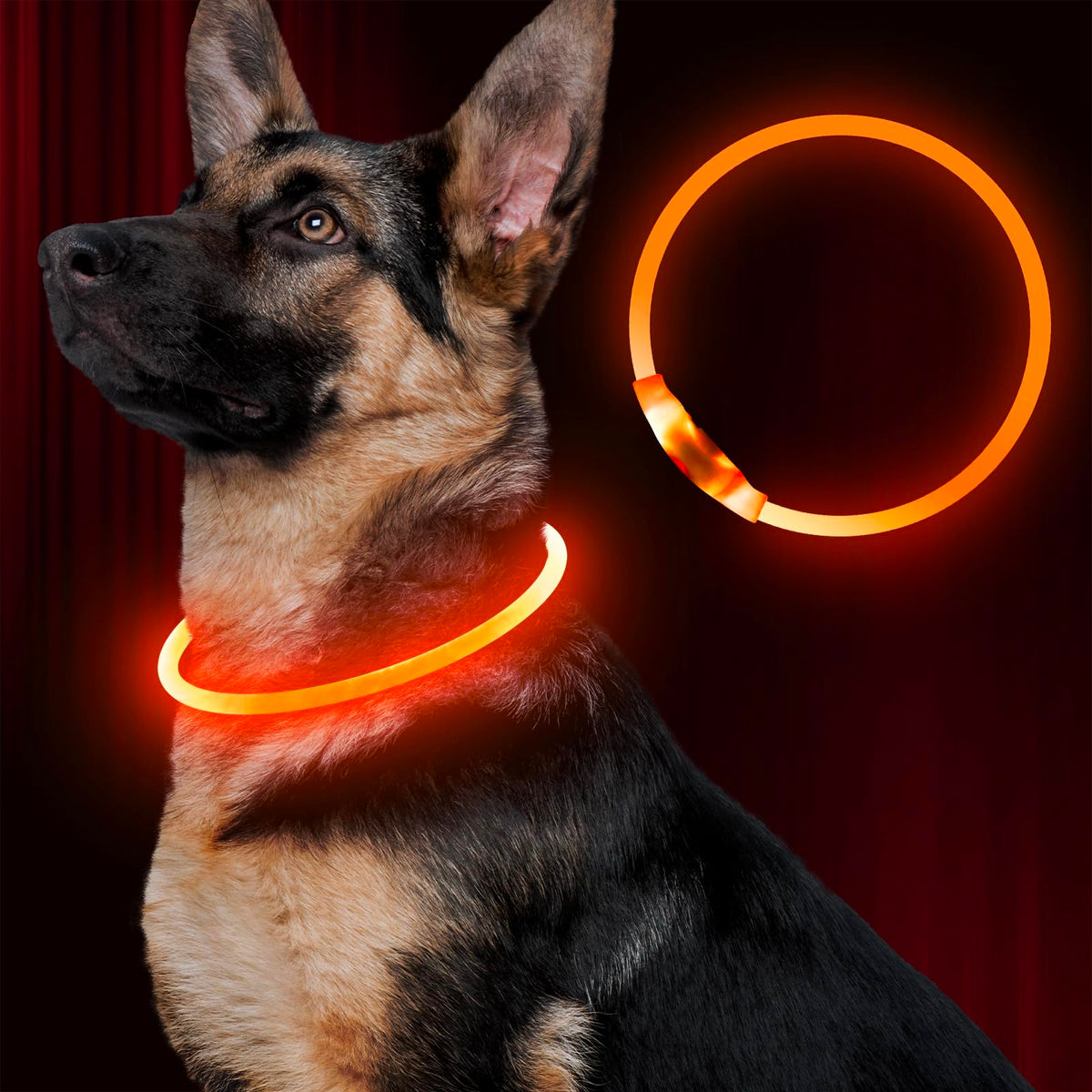 Led Dog Collar, BSEEN USB Rechargeable Flash Dog Necklace Light, Pet Safety Collar Makes Your Beloved Dogs Be Seen at Night for Small Medium Large Dogs(Green)