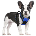 rabbitgoo Dog Harness No Pull with 2 Leash Clips, Adjustable Soft Padded, Reflective Oxford No Choke Pet Vest with Easy Control Handle for Large Dogs, Black, L