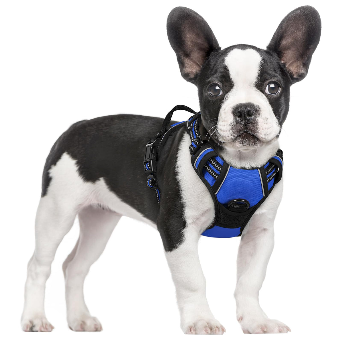 rabbitgoo Dog Harness No Pull with 2 Leash Clips, Adjustable Soft Padded, Reflective Oxford No Choke Pet Vest with Easy Control Handle for Large Dogs, Black, L