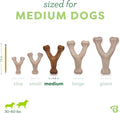 Benebone Wishbone Durable Dog Chew Toy for Aggressive Chewers, Real Bacon, Made in USA, Medium