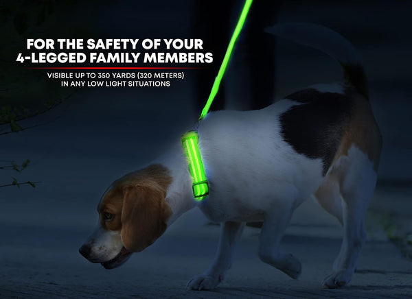 ILLUMISEEN LED Dog Collar USB Rechargeable - Bright & High Visibility Lighted Glow Collar for Pet Night Walking - Weatherproof, in 6 Colors & 6 Sizes (Green Large)
