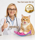 PetBusy Cat Toys with[5000mg A+Natural Catnip &Silvervine] [Baby Grade] Interactive Soft Chew Kicker Cat Toys for Indoor Cats & Kittens, [Crinkle &Bell] Fish Sound Toy, Drives Bored Cat Crazy with Fun