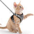 rabbitgoo Cat Harness and Leash Set, Escape Proof Vest, Black | Soft Breathable Mesh, Easy Adjustable Fit, Snap Buckles, Sturdy Clip, Reflective Strips, for Medium to Large Cats Walks, M