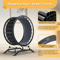 GTPLAYER Cat Wheels, 40" Diameter, Large Cat Exercise Wheel for Indoor Cats cat Treadmill Metal with Detachable Carpet & Teaser/Stickers, Ultra-Quiet Scroll Wheel with Latch, Safe and Stable Grey