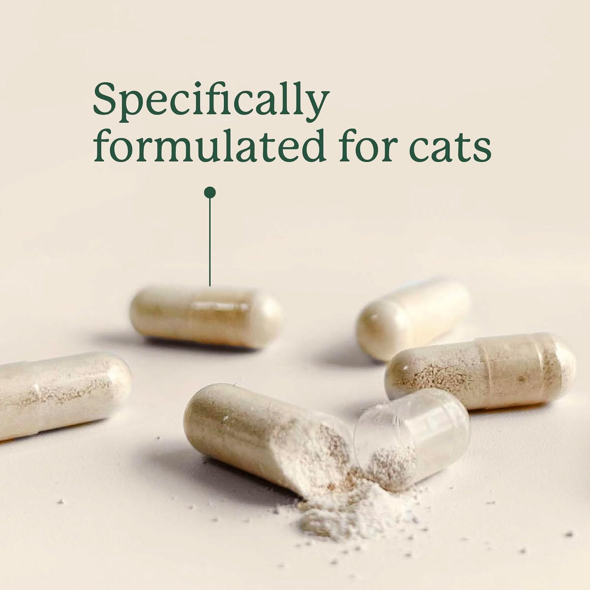 AnimalBiome NEW Probiotics for Cats with S Boulardii (30 Capsules) KittyBiome - Gut Maintain Triple-Action Phage, Prebiotics & Probiotic Cat Supplements for Digestive Health, Open for Easy Food Topper