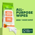 TropiClean Papaya & Coconut Luxury 2-in-1 Pet Wipes, 100ct - Wipes for Dogs & Cats - Gently Removes Dirt, Dander & Smells - for Pet Paws, Face, Body & Bottom - Tropical Papaya & Coconut Scent
