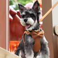 Beirui Cute Small Dog Harness Collar and Leash Set, Brown,XS,Chest 13-28"