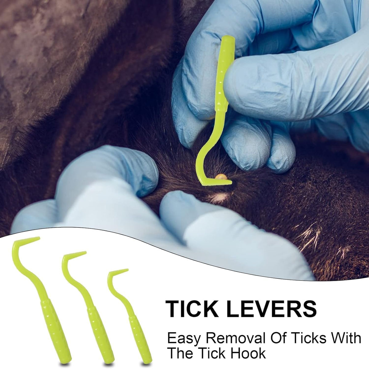 Tick Removal Tool Kit 8-in-1 with Storage Box for Dogs and Cats | Stainless Steel - Tick & Flea Remover Dogs Cats Outdoor - Tick Comb Tweezers Flea Comb Magnifying Glass Storage Box