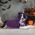 Halloween Dog Costume Dog Witch Cape Witch Hat Set Pet Wizard Cloak Vampire Devil Outfit Puppy Cat Halloween Cloak Devil Clothes Outfit Apparel Cosplay for Small Medium Large Dogs 2Pcs XL