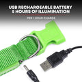 ILLUMISEEN LED Dog Collar USB Rechargeable - Bright & High Visibility Lighted Glow Collar for Pet Night Walking - Weatherproof, in 6 Colors & 6 Sizes (Green Large)