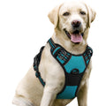 rabbitgoo Dog Harness No Pull with 2 Leash Clips, Adjustable Soft Padded, Reflective Oxford No Choke Pet Vest with Easy Control Handle for Medium Sized Dogs, Black, M
