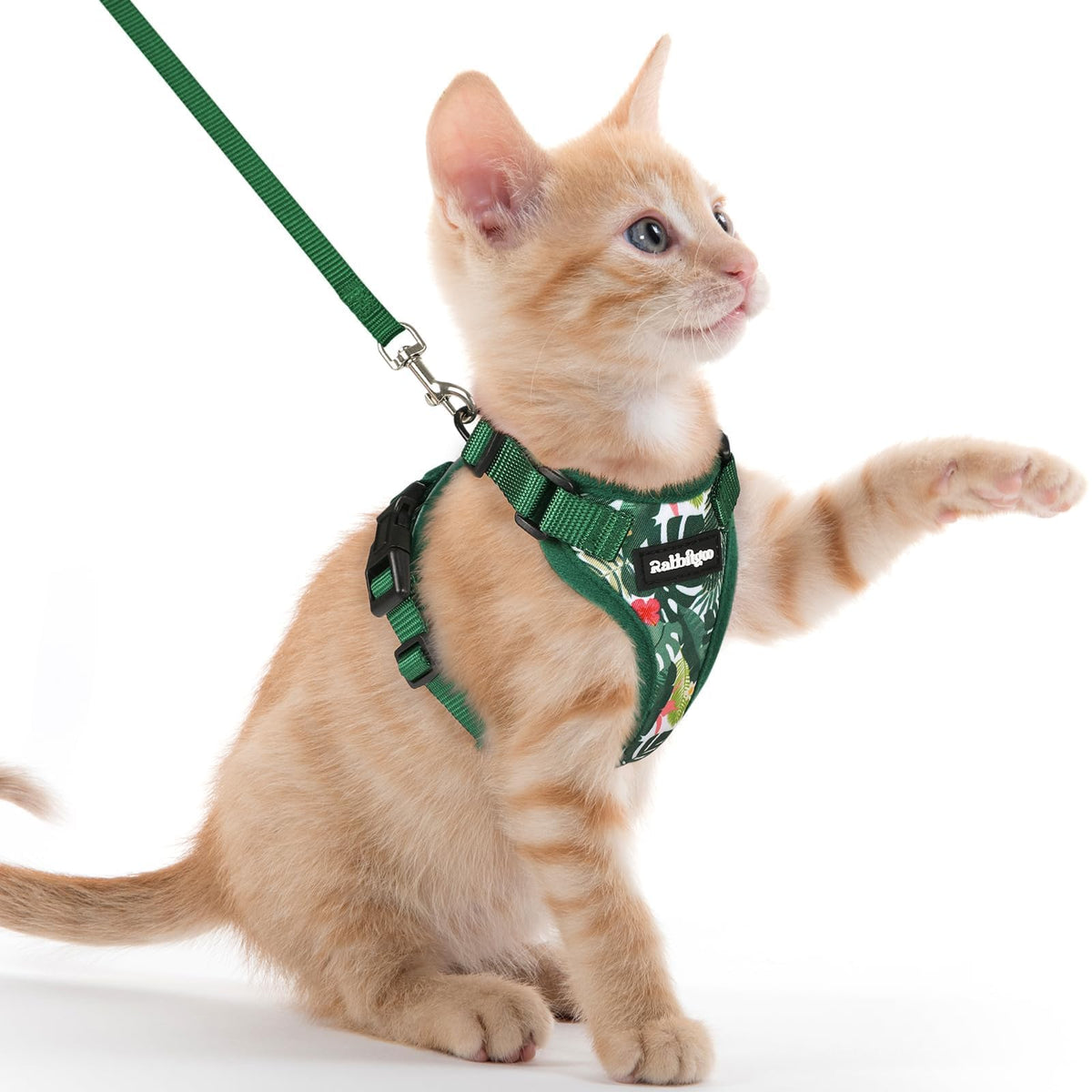 rabbitgoo Cat Harness and Leash Set, Escape Proof Vest, Black | Soft Breathable Mesh, Easy Adjustable Fit, Snap Buckles, Sturdy Clip, Reflective Strips, for Small & Average Cats Walks, Xs