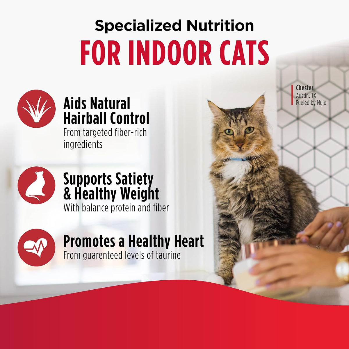 Nulo FreeStyle Dry Cat Food Indoor - Duck & Cod, High Protein Grain-Free Dry Cat Food, Natural Kibble with Probiotics and Omegas Fatty Acids, 14lb Bag