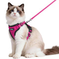 rabbitgoo Cat Harness and Leash Set, Escape Proof Vest, Black | Soft Breathable Mesh, Easy Adjustable Fit, Snap Buckles, Sturdy Clip, Reflective Strips, for Medium to Large Cats Walks, M