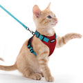 rabbitgoo Cat Harness and Leash Set, Escape Proof Vest, Black | Soft Breathable Mesh, Easy Adjustable Fit, Snap Buckles, Sturdy Clip, Reflective Strips, for Medium to Large Cats Walks, M