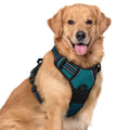 rabbitgoo Dog Harness No Pull with 2 Leash Clips, Adjustable Soft Padded, Reflective Oxford No Choke Pet Vest with Easy Control Handle for Large Dogs, Black, L