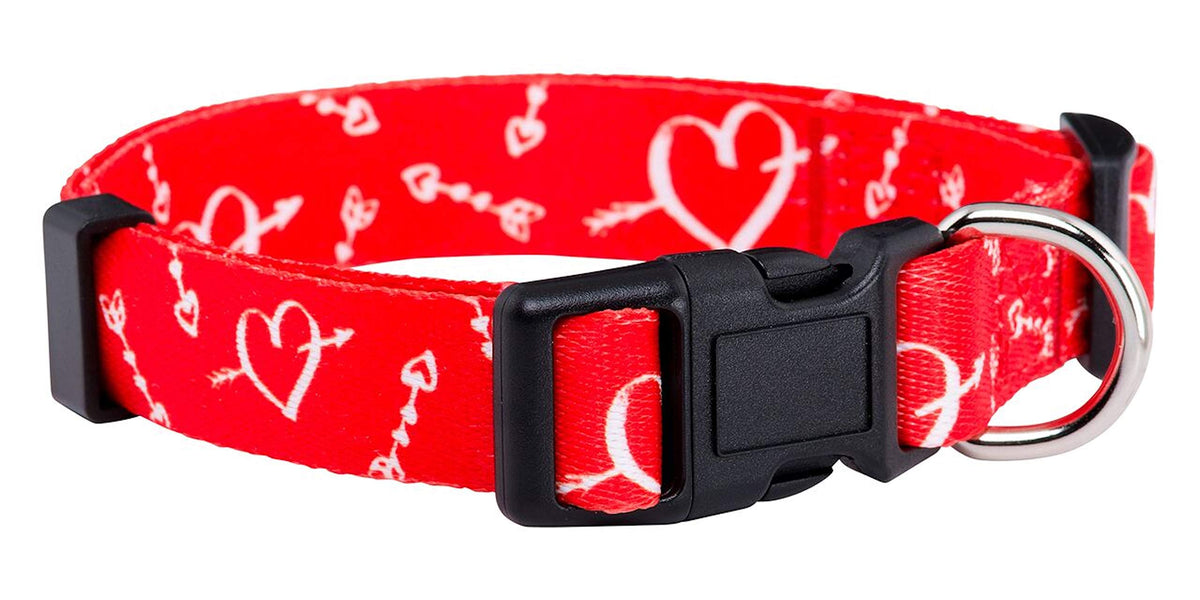 Native Pup Halloween Dog Collar- Spooky Fall Themed Horror Costume Collars- Skull, Pumpkin, Ghost, Bat, Witch, Candy Corn, Spider- Adjustable for Small, Medium, Large Breeds (Small, Big Pumpkins)
