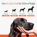 Hip + Joint Supplement for Dogs with Glucosamine Chondroitin - MSM, Turmeric & Collagen Soft Chews - Joint Function, Stiffness, and Mobility Support, May Reduce Occasional Discomfort (Chicken, 90 Ct)