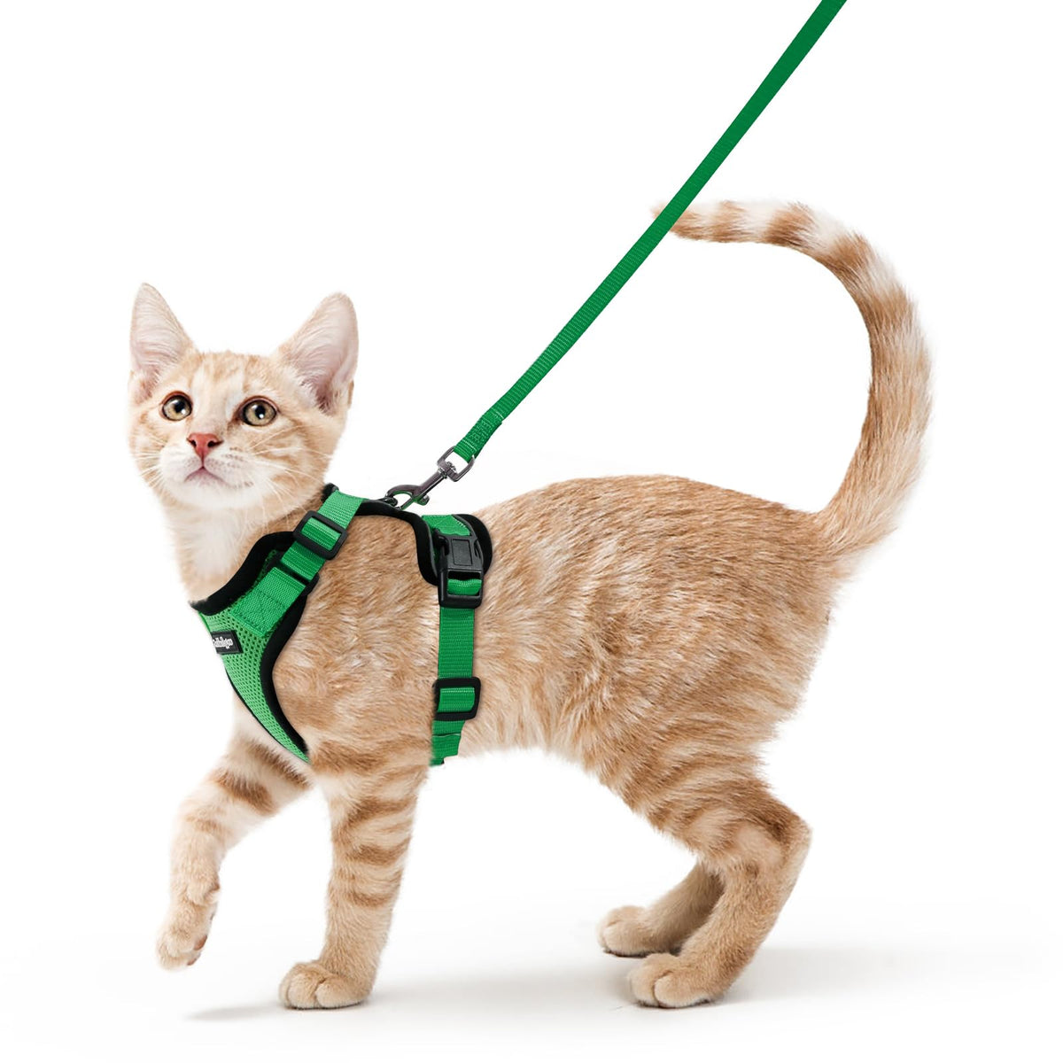 rabbitgoo Cat Harness and Leash Set, Escape Proof Vest, Black | Soft Breathable Mesh, Easy Adjustable Fit, Snap Buckles, Sturdy Clip, Reflective Strips, for Medium to Large Cats Walks, M