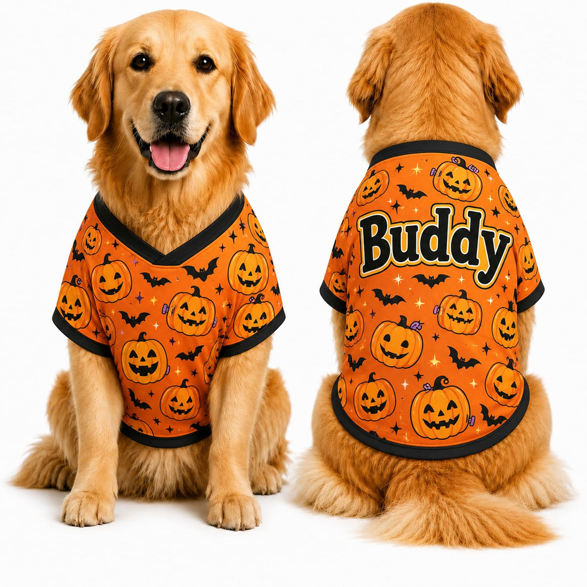 Personalized Halloween Dog Shirt, Custom Pet Shirt with Name, Pumpkin Bat Spider Web Dog Costume